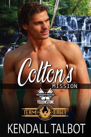 Colton's Mission: Brotherhood Protectors World