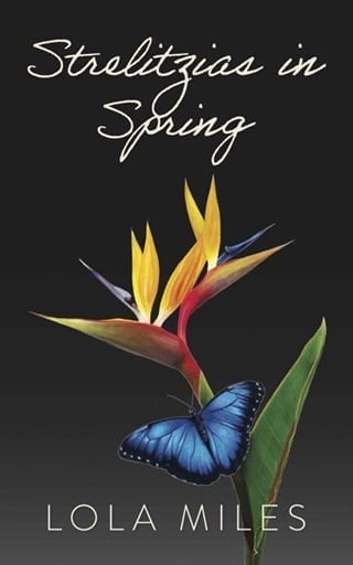 Strelitzias in Spring