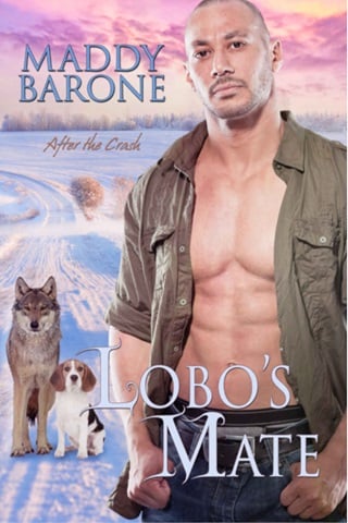 Lobo's Mate: After the Crash Book 4.5