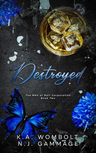 Destroyed (The Men of Bolt Corporation #2)
