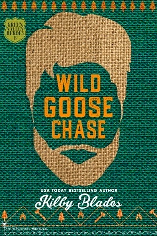 Wild Goose Chase (Green Valley Heroes #8)