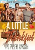 A Little Thankful (Small Town Lovers #8)
