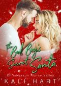 The Bad Boy’s Secret Santa (Christmas in Alpine Valley #9)