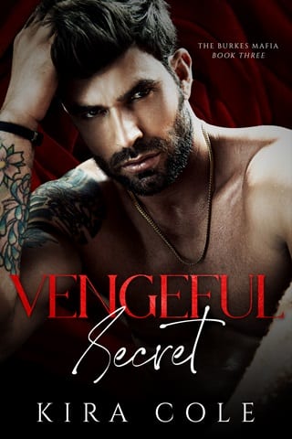 Vengeful Secret (The Burkes Mafia #3)