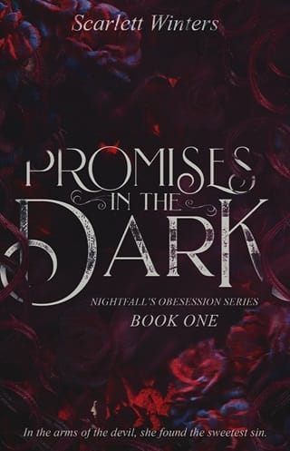Promises in the Dark (Nightfall’s Obsession, #1)