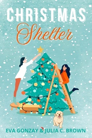 Christmas Shelter