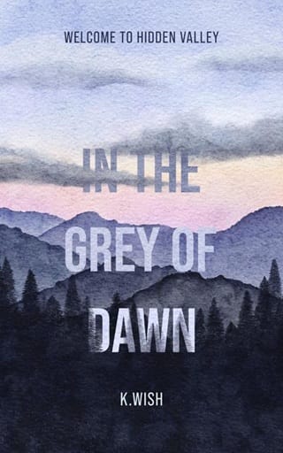 In the Grey of Dawn (Welcome to Hidden Valley #2)