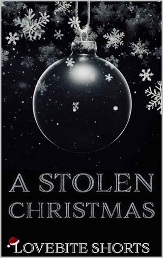 A Stolen Christmas (Madness For Two: The Winthorpe Twins #2)