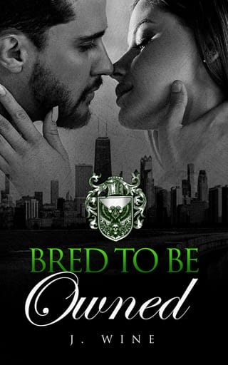 Bred To Be Owned (Vows in Violence #1)