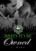 Bred To Be Owned (Vows in Violence #1)