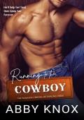 Running to the Cowboy (The Runaway Brides of Darling Creek #1)