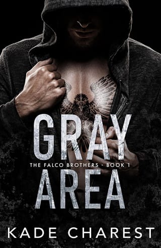Gray Area (The Falco Brothers #1)