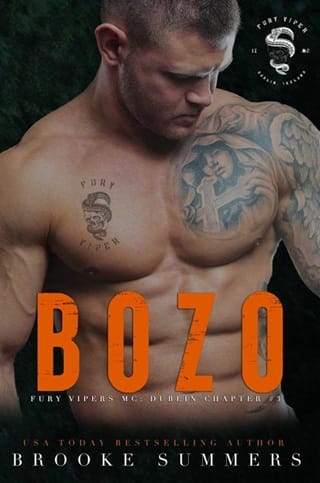 Bozo (Fury Vipers MC: Dublin Chapter #3)