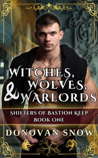 Witches, Wolves, & Warlords (Shifters of Bastion Keep #1)