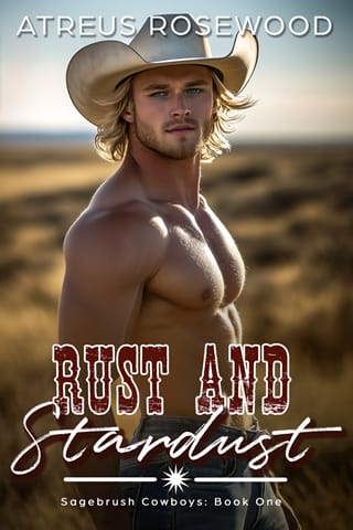 Rust and Stardust (Sagebrush Cowboys #1)
