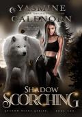 Shadow Scorching (Shadow Blade #2)