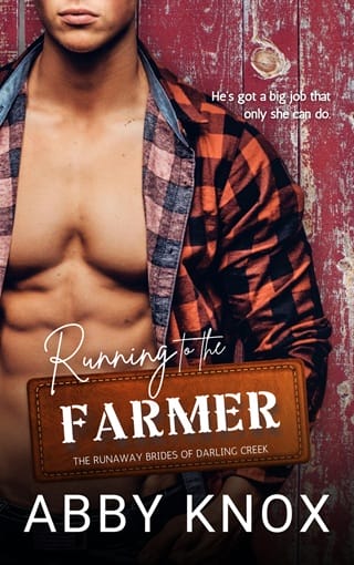 Running to the Farmer (The Runaway Brides of Darling Creek #2)