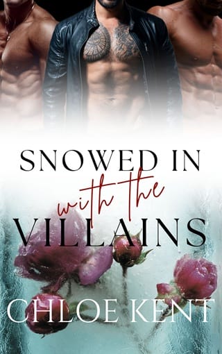 Snowed in with the Villains (Snowed in with Them #2)