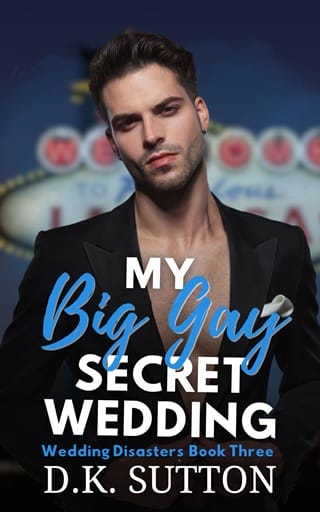 My Big Gay Secret Wedding (Wedding Disasters #3)