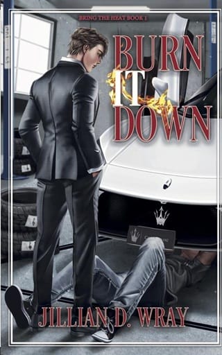 Burn It Down (Bring The Heat #1)