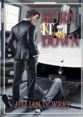 Burn It Down (Bring The Heat #1)