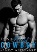 Don’t Trust the Cowboy (A Small Town Steamy Western Romance #1)