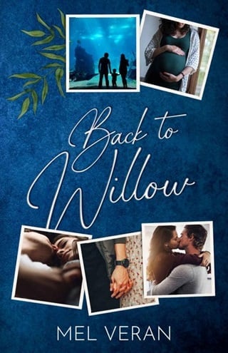 Back to Willow (Back Series Book 1)