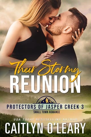 Their Stormy Reunion (Protectors of Jasper Creek #3)