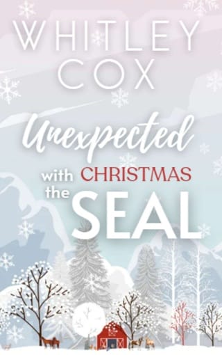 Unexpected Christmas with the SEAL