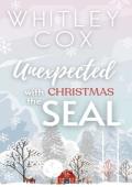 Unexpected Christmas with the SEAL