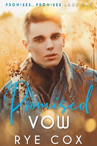 Promised Vow (Promises, Promises #1)