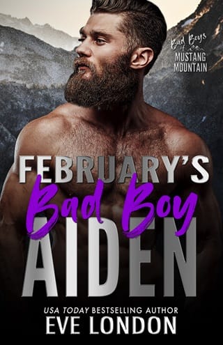 February’s Bad Boy: Aiden (Bad Boys of Mustang Mountain #2)