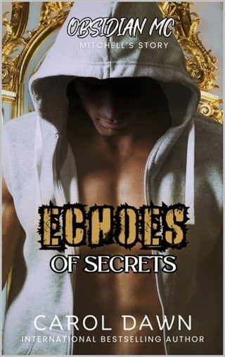 Echoes of Secrets (Obsidian MC #7)