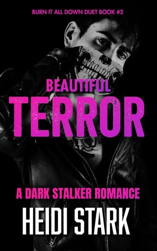 Beautiful Terror (Burn It All Down Duet #2)