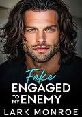 Fake Engaged to My Enemy