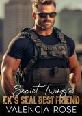 Secret Twins For My Ex’s SEAL Best Friend (Billionaire Silver Foxes’ Club)