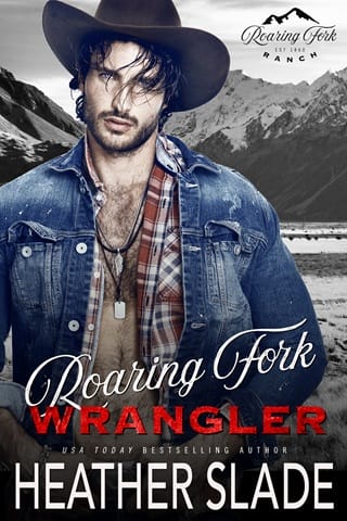 Roaring Fork Wrangler (Roaring Fork Ranch #1)