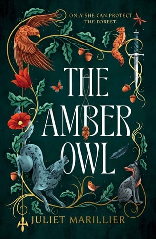 The Amber Owl (Heartwood #1)