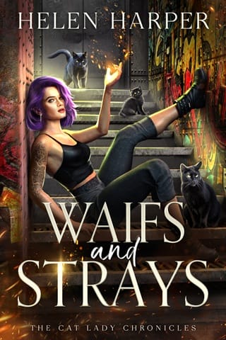 Waifs And Strays (The Cat Lady Chronicles #1)
