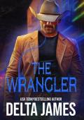 The Wrangler (Cowboys of Silver Spur Security #2)