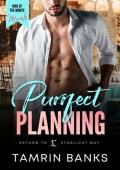 Purrfect Planning (Return to Starlight Bay)