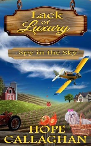 Spy in the Sky (Lack of Luxury #3)