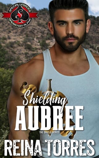 Shielding Aubree (The Shield #1)