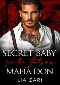Secret Baby for the Italian Mafia Don (Possessive Mafia Kings #30)