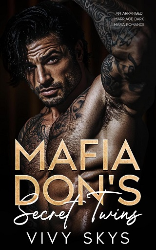 Mafia Don's Secret Twins (Ruthless Chicago Mafia Kings #3)