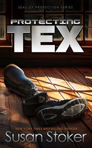 Protecting Tex (SEAL of Protection #12)