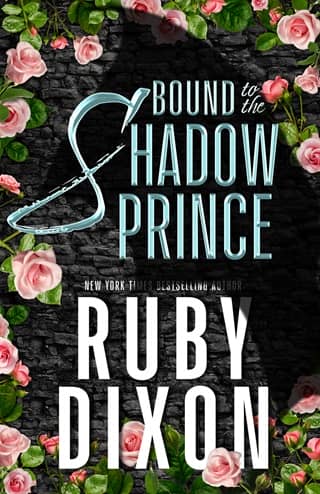 Bound to the Shadow Prince