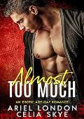 Almost Too Much (Steamy Small Town Forbidden #2)