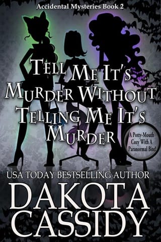 The Accidental Detectives (An Accidental Detective Mystery #2)