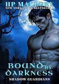 Bound By Darkness (Shadow Guardians #3)